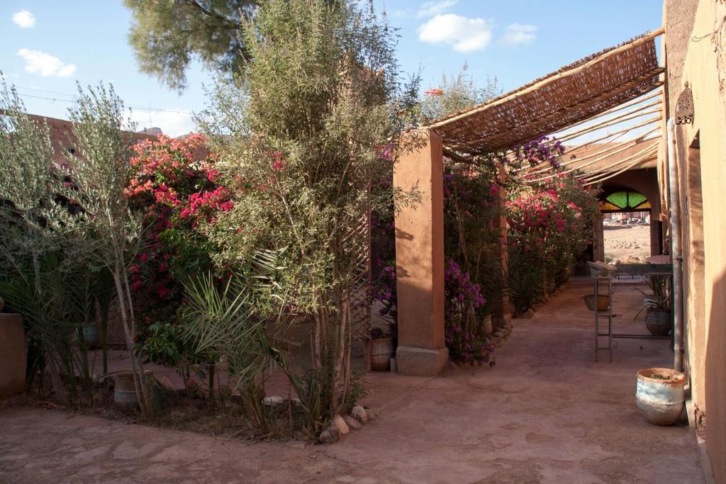 Auberge L'Oasis Foum Zguid Εξωτερικό φωτογραφία